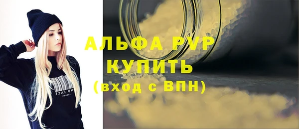 шишки Новозыбков