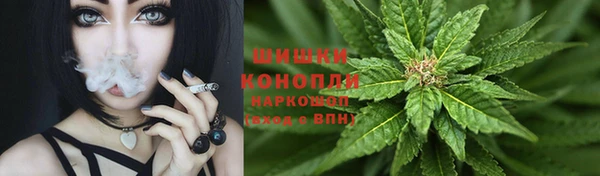 PSILOCYBIN Валуйки