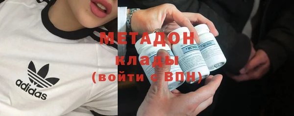 шишки Новозыбков