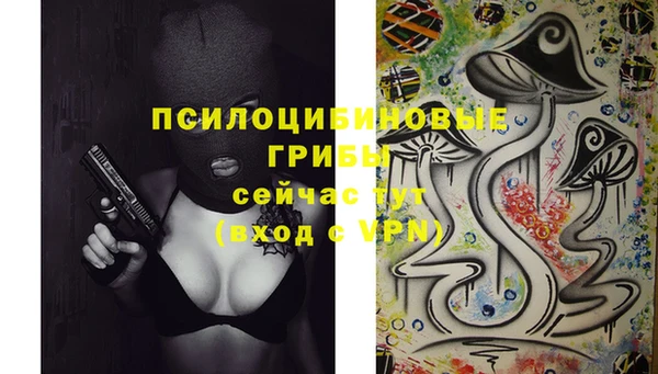 mix Няндома
