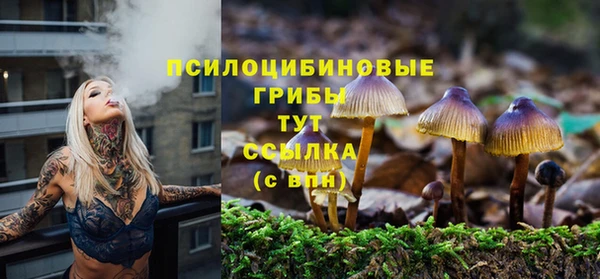 MESCALINE Новодвинск