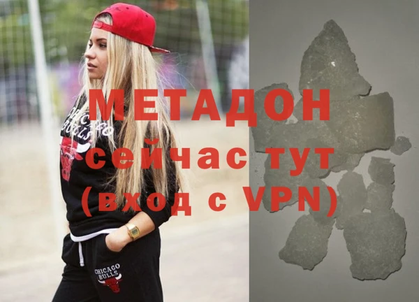 шишки Новозыбков