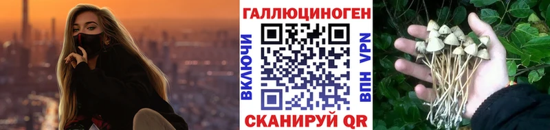 shop какой сайт  Мирный  Галлюциногенные грибы Psilocybe  цены  