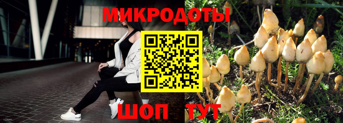 Галлюциногенные грибы GOLDEN TEACHER Мирный