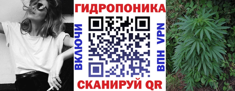 закладки  Мирный  Бошки Шишки индика 